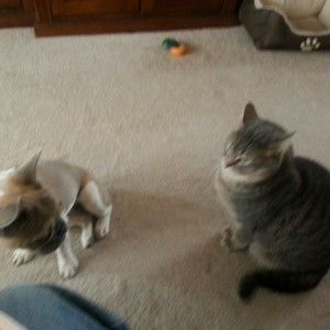 Meet your Posher, Cindy